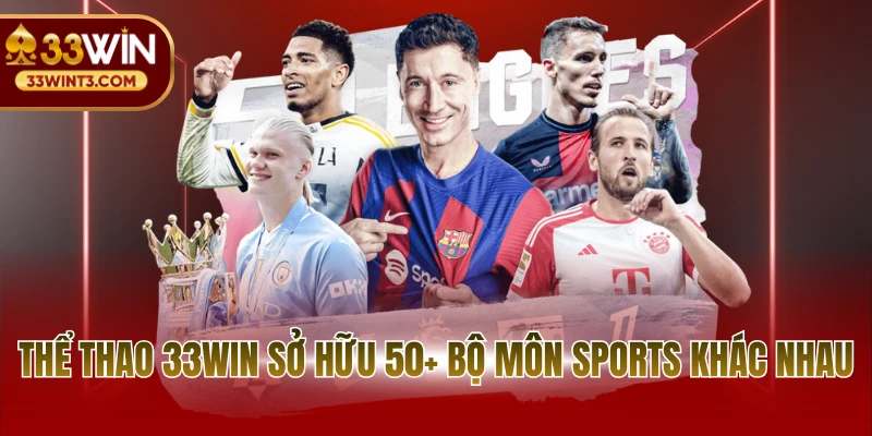 Thể thao 33WIN 2 Thể thao 33WIN sở hữu 50+ bộ môn sports khác nhau