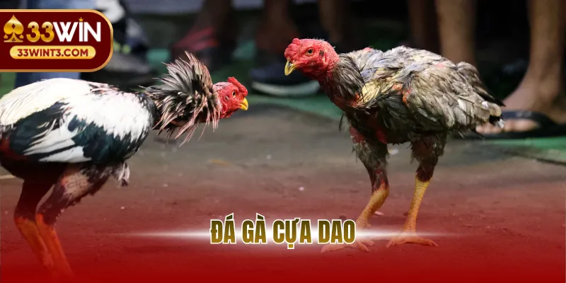 Đá Gà Cựa Dao - Đấu Trường Sinh Tử Đỉnh Cao 2026 1 avt