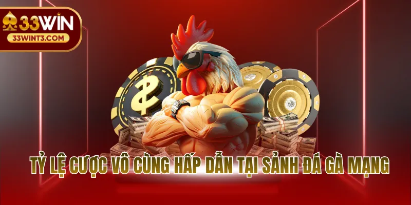 Trực Tiếp Đá Gà Mạng - Sức Nóng Từ Đấu Trường Đẳng Cấp 3 Tỷ lệ cược vô cùng hấp dẫn tại sảnh đá gà mạng